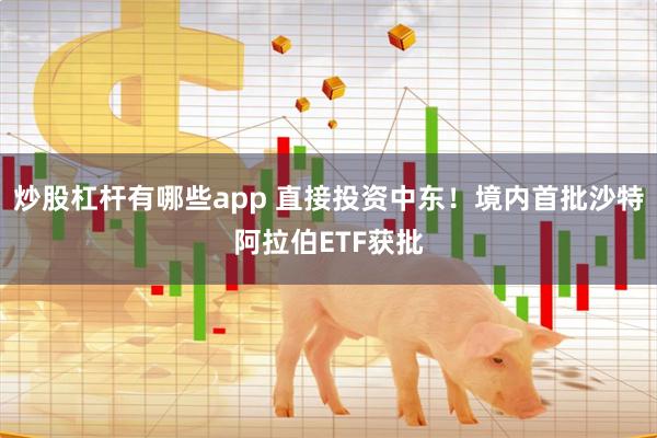 炒股杠杆有哪些app 直接投资中东！境内首批沙特阿拉伯ETF获批