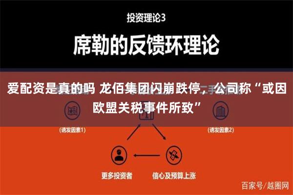 爱配资是真的吗 龙佰集团闪崩跌停，公司称“或因欧盟关税事件所致”