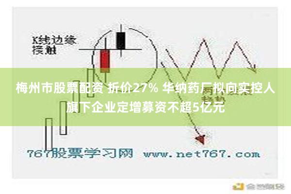 梅州市股票配资 折价27% 华纳药厂拟向实控人旗下企业定增募资不超5亿元