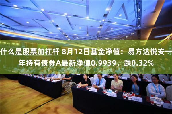 什么是股票加杠杆 8月12日基金净值：易方达悦安一年持有债券A最新净值0.9939，跌0.32%