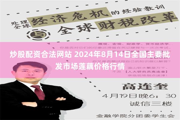 炒股配资合法网站 2024年8月14日全国主要批发市场莲藕价格行情