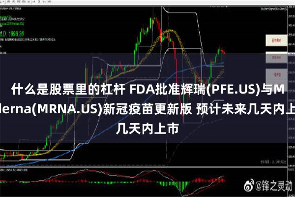 什么是股票里的杠杆 FDA批准辉瑞(PFE.US)与Moderna(MRNA.US)新冠疫苗更新版 预计未来几天内上市