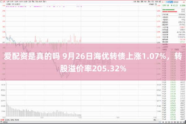 爱配资是真的吗 9月26日海优转债上涨1.07%，转股溢价率205.32%