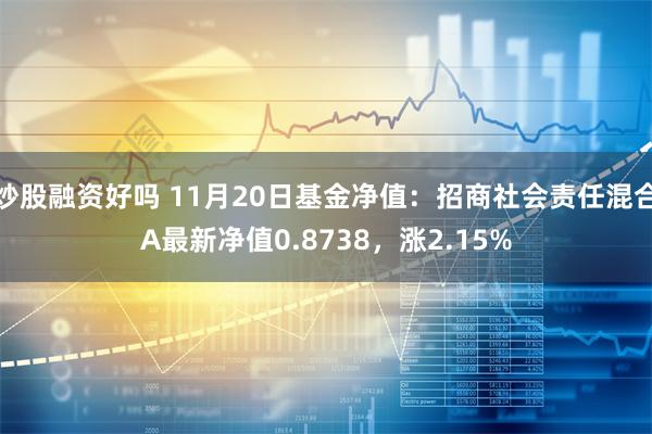 炒股融资好吗 11月20日基金净值：招商社会责任混合A最新净值0.8738，涨2.15%