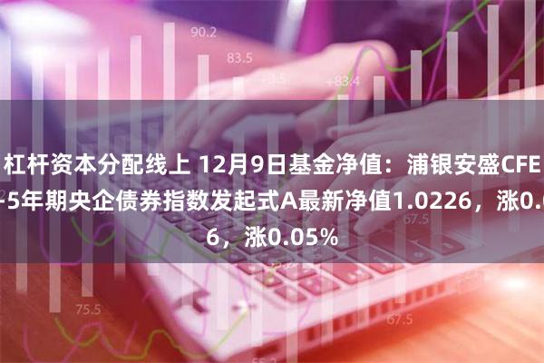 杠杆资本分配线上 12月9日基金净值：浦银安盛CFETS0-5年期央企债券指数发起式A最新净值1.0226，涨0.05%